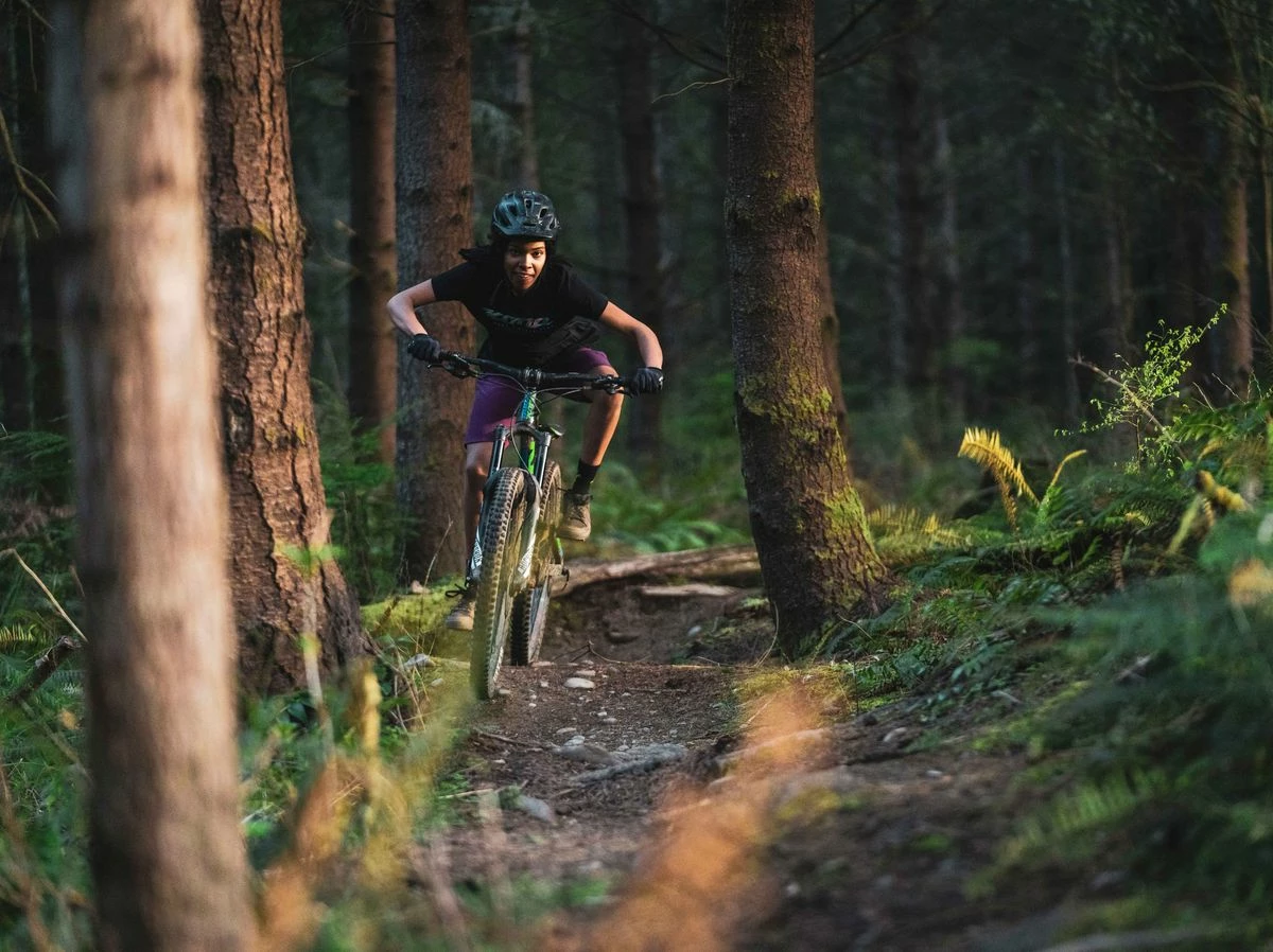 Mountainbikes Verkaufsladen 3 Mountainbikes Verkaufsladen -Mountainbikes Verkaufsladen brooklyn bell by paul kelly 1 1549551319